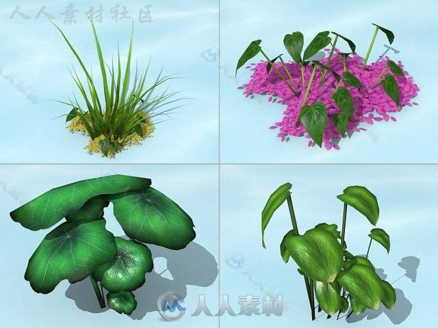 水生植物3D模型Unity游戏素材资源