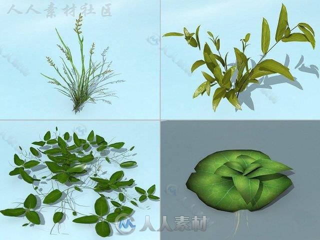 水生植物3D模型Unity游戏素材资源