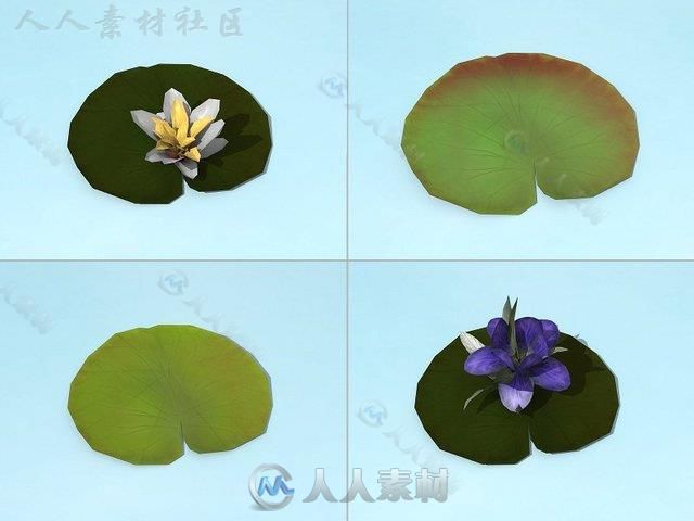 水生植物3D模型Unity游戏素材资源