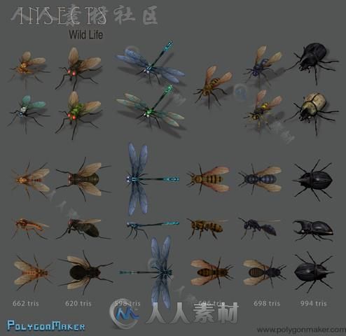 野生动物昆虫生物角色3D模型Unity游戏素材资源