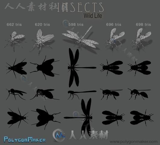 野生动物昆虫生物角色3D模型Unity游戏素材资源