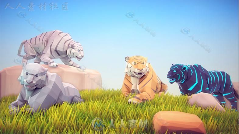 美丽的艺术老虎动物角色3D模型Unity游戏素材资源