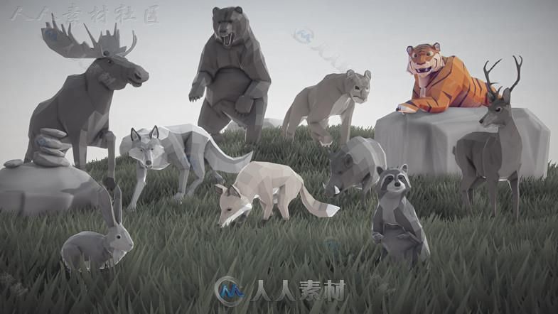 美丽的艺术老虎动物角色3D模型Unity游戏素材资源