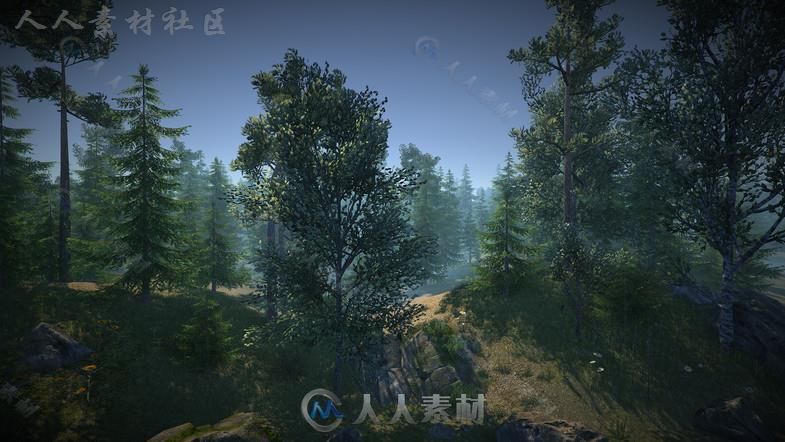 大自然森林包植物3D模型Unity游戏素材资源