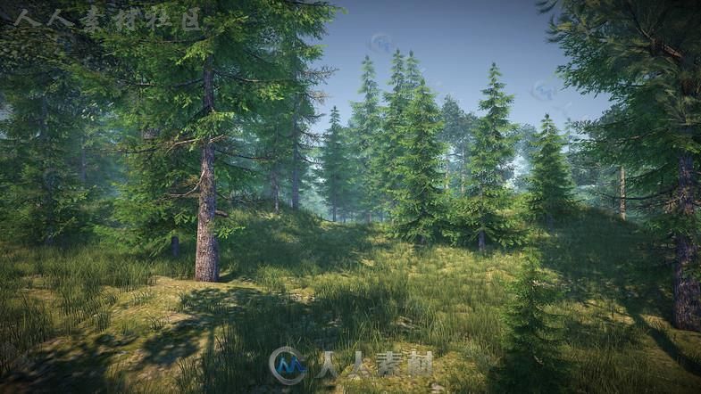 大自然森林包植物3D模型Unity游戏素材资源