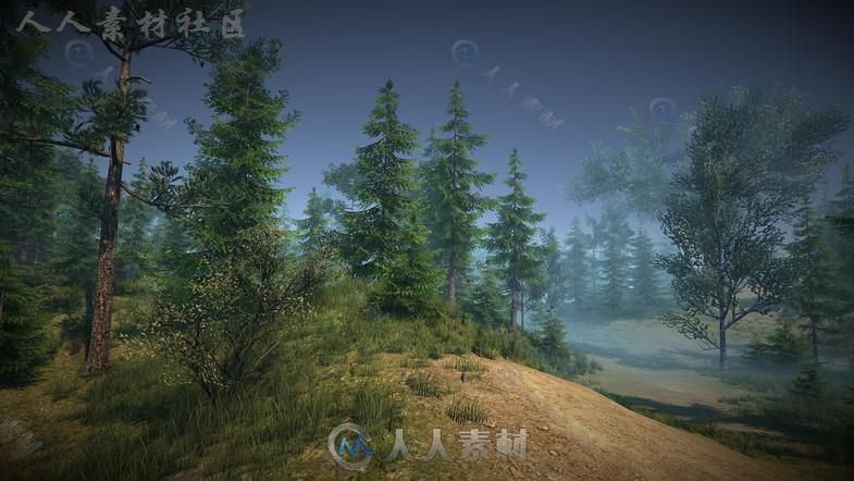 大自然森林包植物3D模型Unity游戏素材资源