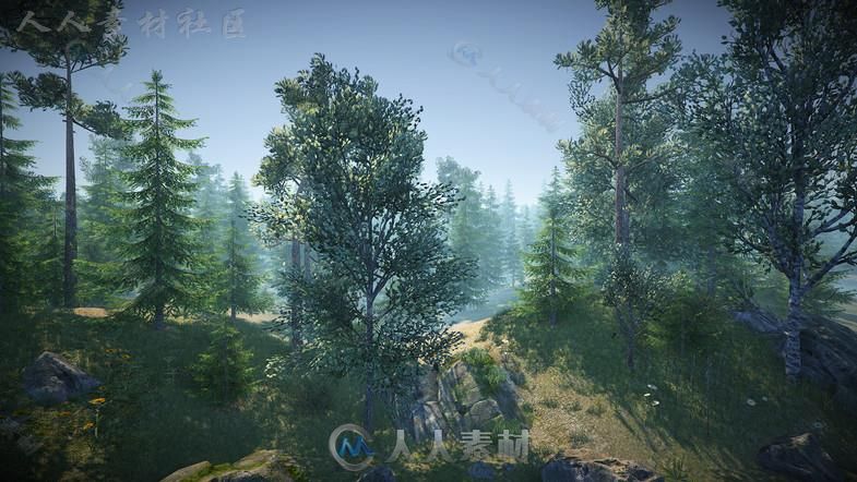 大自然森林包植物3D模型Unity游戏素材资源