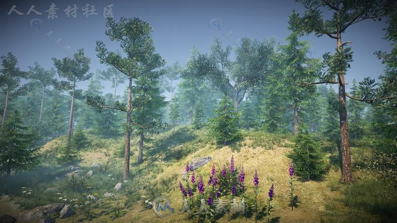 大自然森林包植物3D模型Unity游戏素材资源