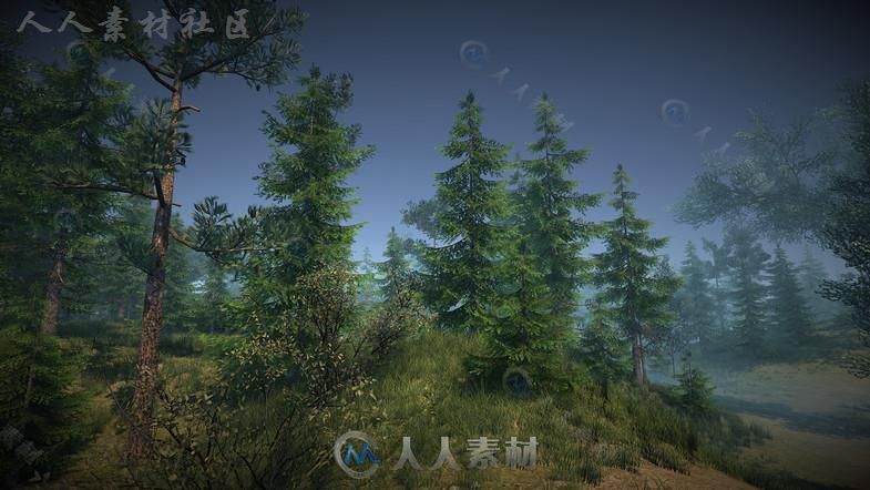 大自然森林包植物3D模型Unity游戏素材资源