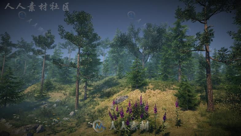 大自然森林包植物3D模型Unity游戏素材资源