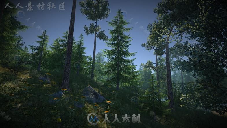 大自然森林包植物3D模型Unity游戏素材资源