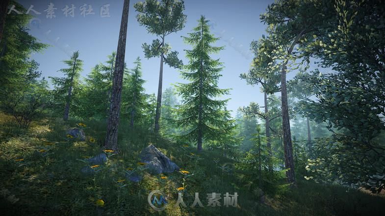 大自然森林包植物3D模型Unity游戏素材资源