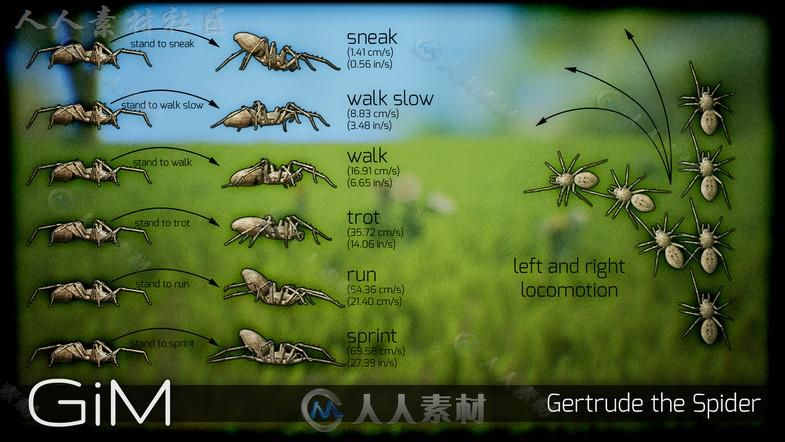 蜘蛛动物角色3D模型Unity游戏素材资源