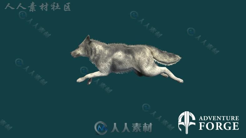 北欧狼哺乳动物角色3D模型Unity游戏素材资源