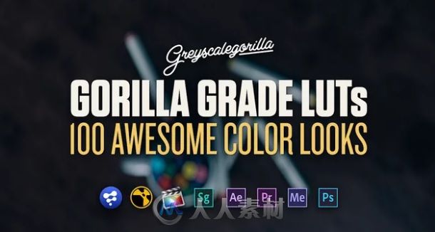 灰猩猩出品100种 LUTs 电影调色预设合辑 GREYSCALEGORILLA GRADE LUTS