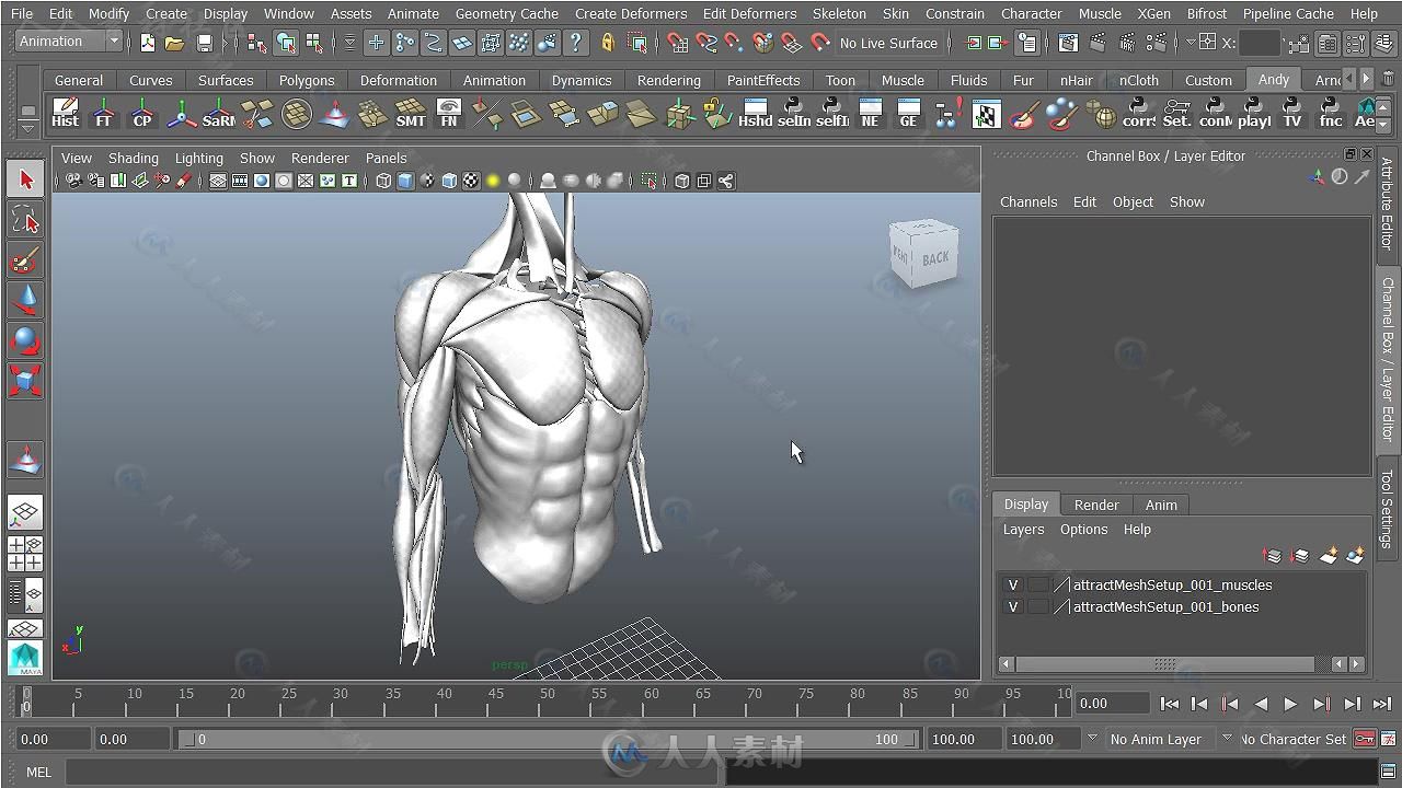 Maya肌肉与骨骼大师级训练视频教程第二季 CGCIRCUIT SKINNING WITH NCLOTH PART II