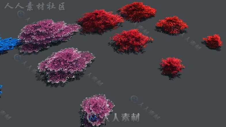 丰富多彩和活泼的水下植物环境3D模型Unity游戏素材资源