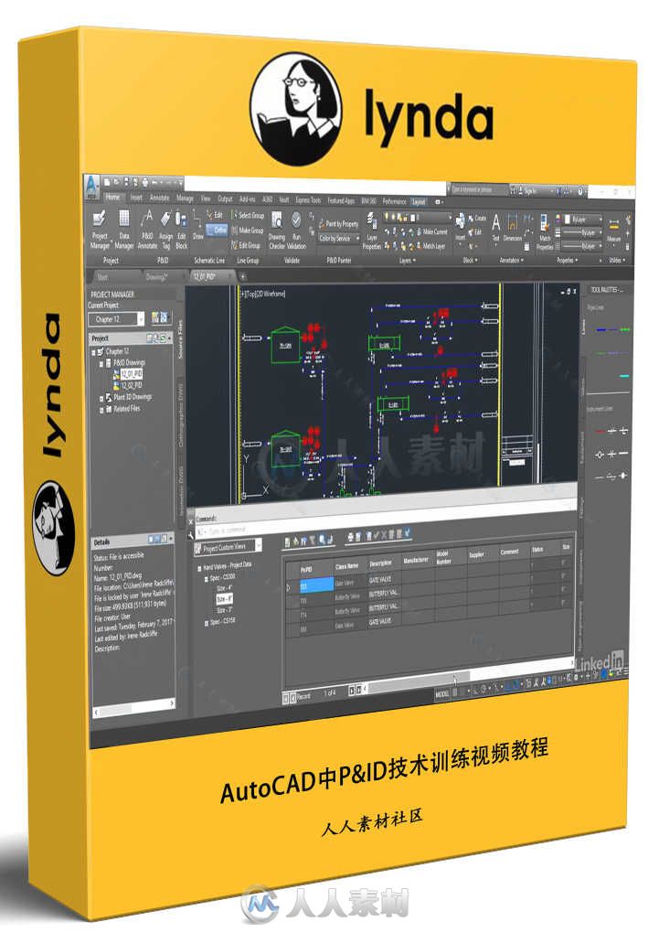 AutoCAD中P&amp;ID技术训练视频教程 AutoCAD P&amp;ID Essential Training User