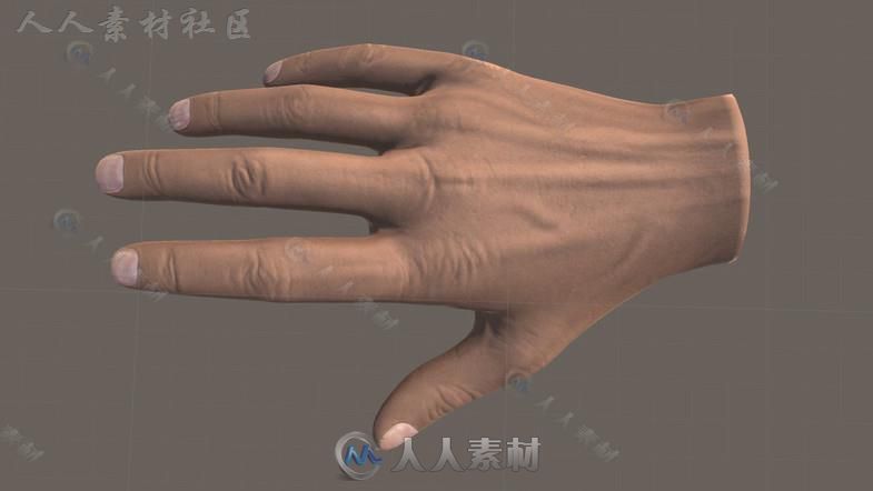 VR女性男性双手3D模型Unity游戏素材资源