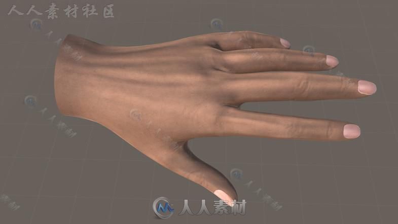 VR女性男性双手3D模型Unity游戏素材资源