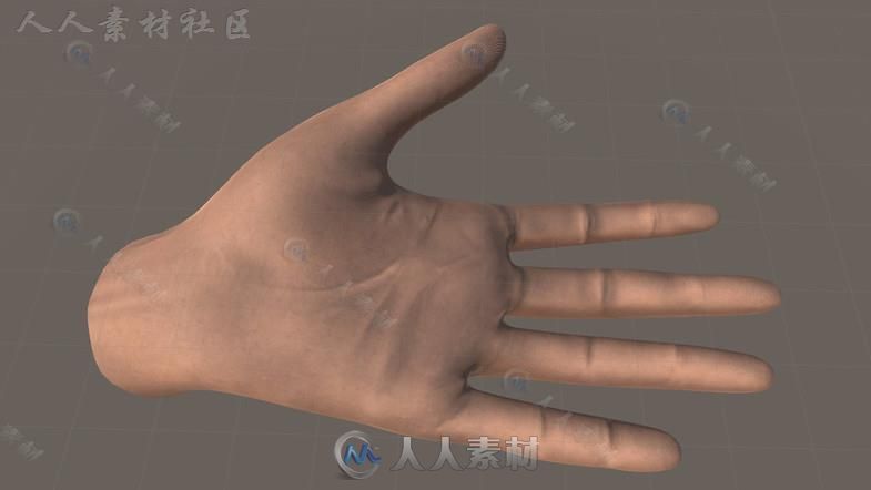 VR女性男性双手3D模型Unity游戏素材资源