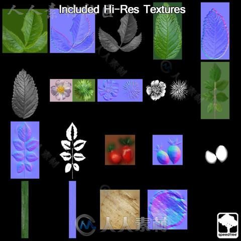 狗蔷薇SpeedTree&#174;植物3D模型Unity游戏素材资源