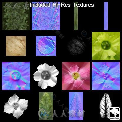 现代花草SpeedTree&#174;植物3D模型Unity游戏素材资源