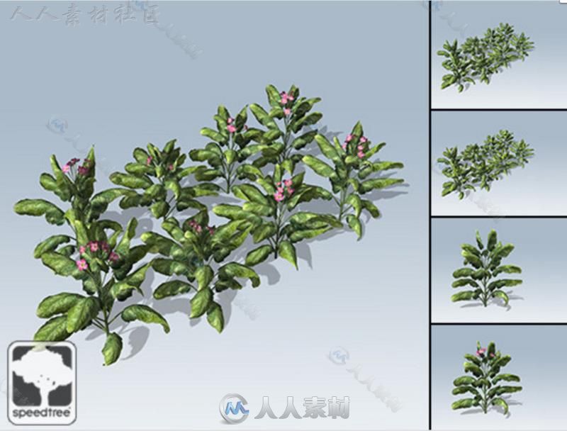 现代花草SpeedTree&#174;植物3D模型Unity游戏素材资源