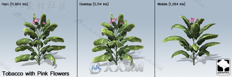 现代花草SpeedTree&#174;植物3D模型Unity游戏素材资源