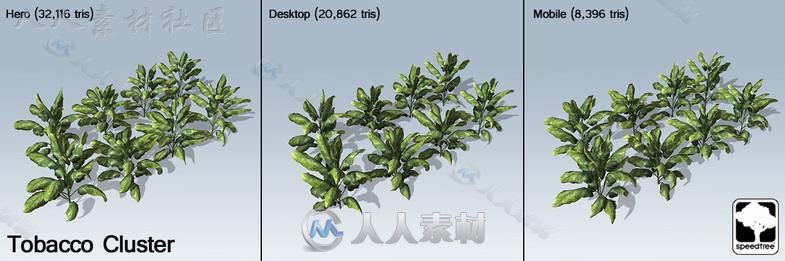 现代花草SpeedTree&#174;植物3D模型Unity游戏素材资源