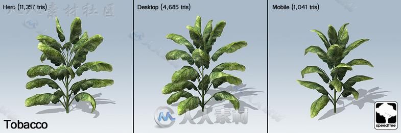 现代花草SpeedTree&#174;植物3D模型Unity游戏素材资源