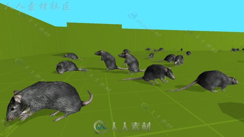 简单易用的动物漫游模拟器动物角色3D模型Unity游戏素材资源