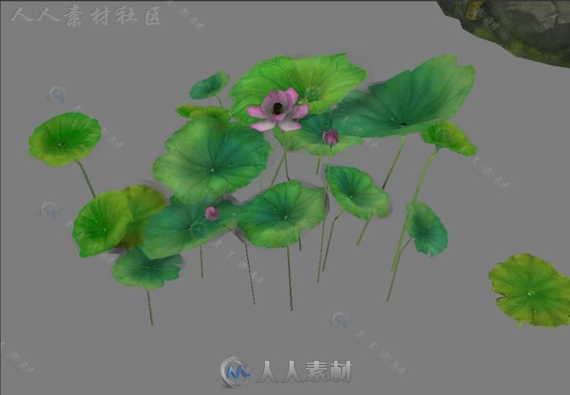 高品质中国风场景植物主城和石头3D模型