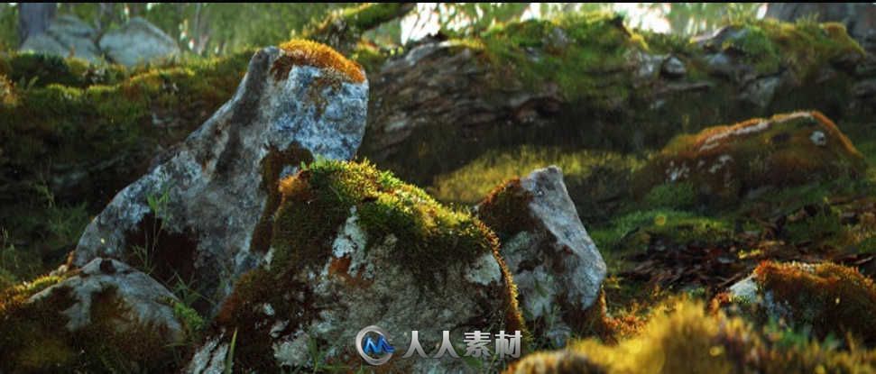 Quixel MegaScan Suite高精度纹理材质贴图扫描软件V0.921版 Quixel Megascans Stud...