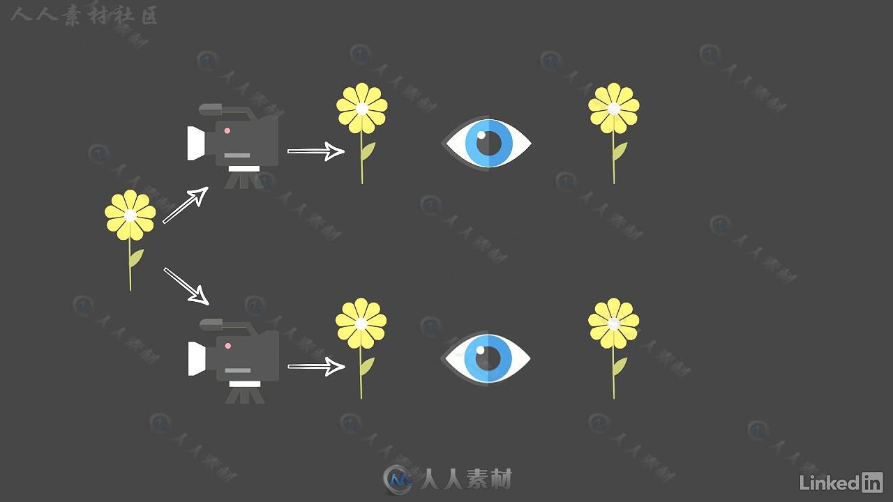 数字媒体基础知识训练视频教程 Learning Digital Media Principles