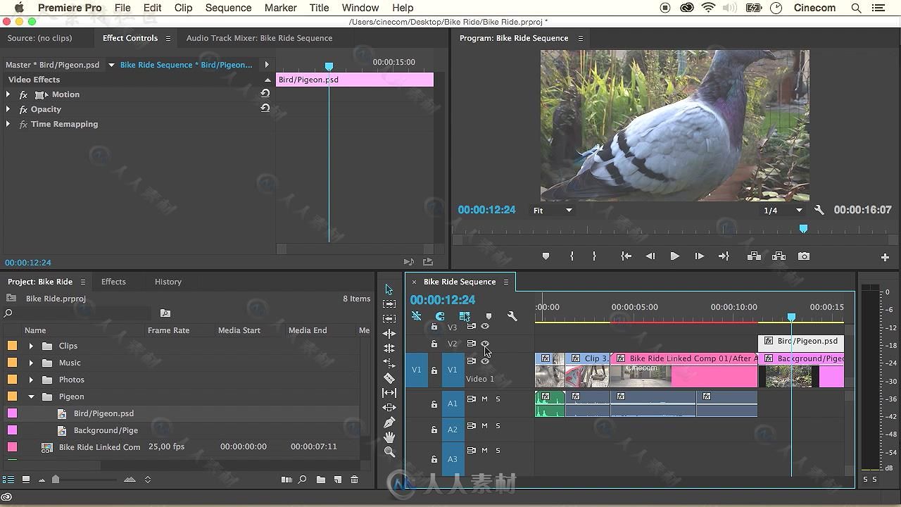 Premiere Pro CC视频编辑基础技能训练视频教程 SKILLSHARE LEARN VIDEO EDITING WI...