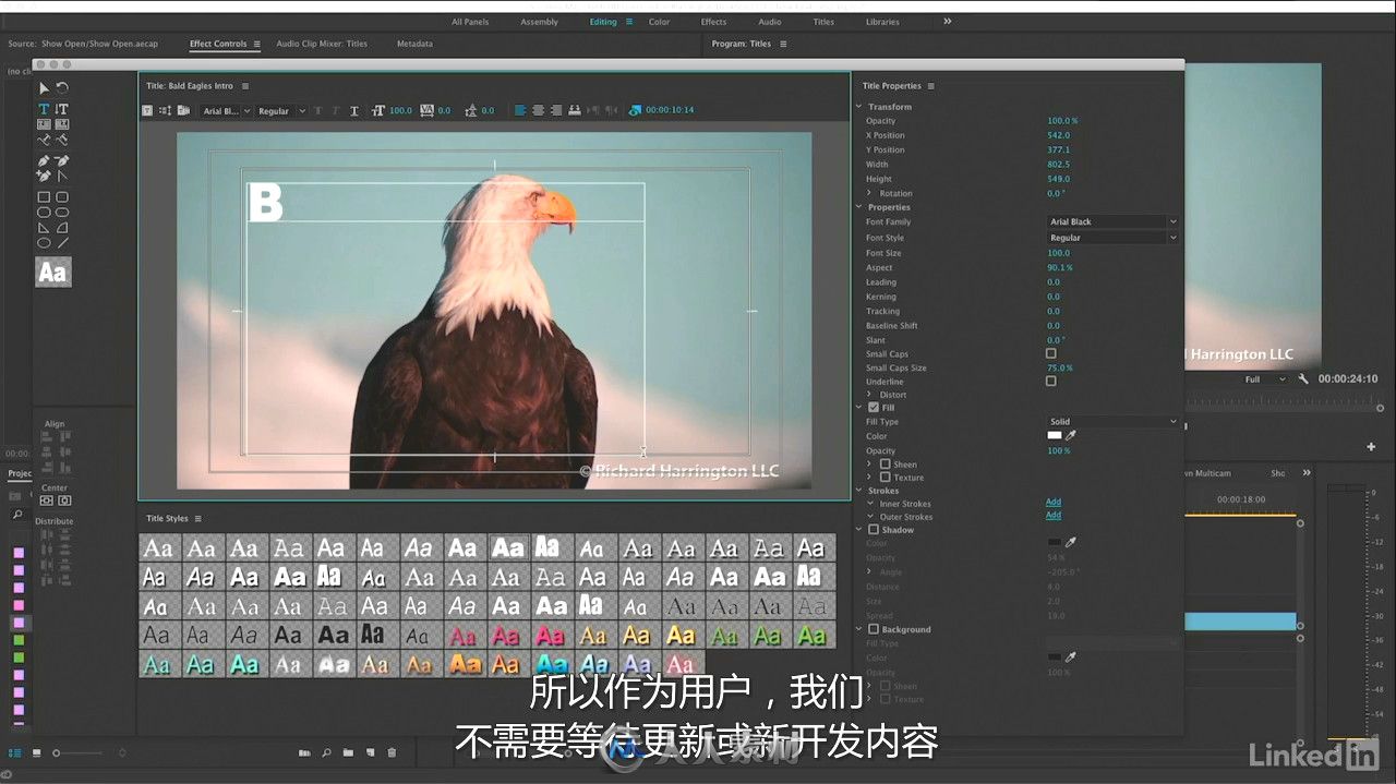 第110期中文字幕翻译教程《Premiere Pro CC 2017新功能训练视频教程》人人素材字幕组