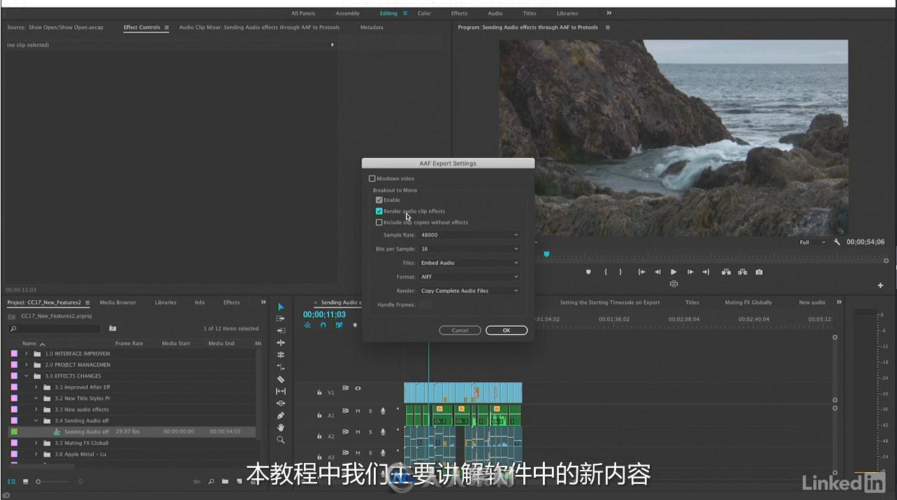 第110期中文字幕翻译教程《Premiere Pro CC 2017新功能训练视频教程》人人素材字幕组