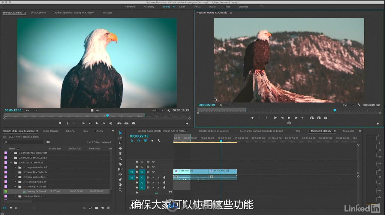 第110期中文字幕翻译教程《Premiere Pro CC 2017新功能训练视频教程》人人素材字幕组