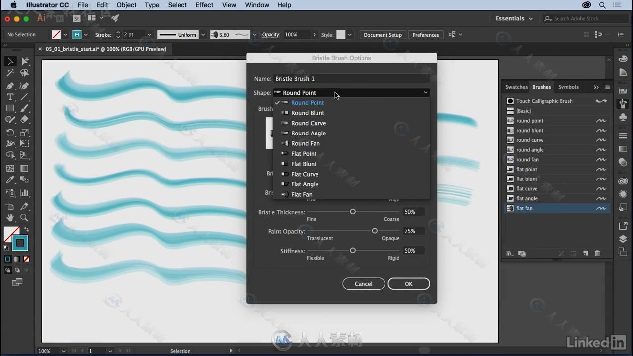 Illustrator自定义创意笔刷使用技术视频教程 Illustrator Creating Custom Brushes