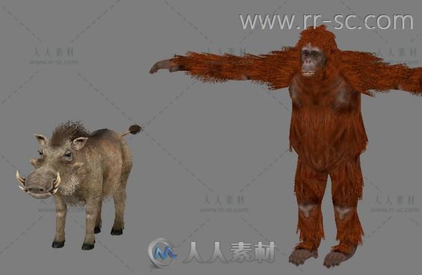 《ZOO动物园》全套共70个动物3D模型带贴图