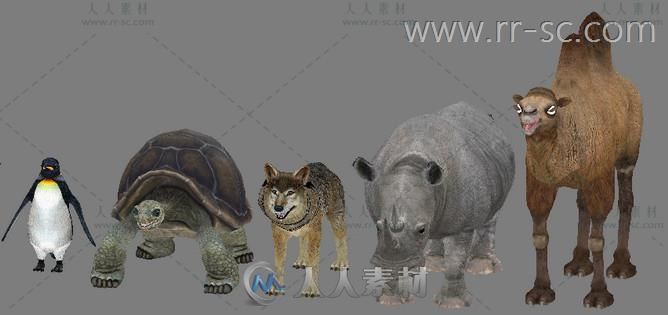 《ZOO动物园》全套共70个动物3D模型带贴图