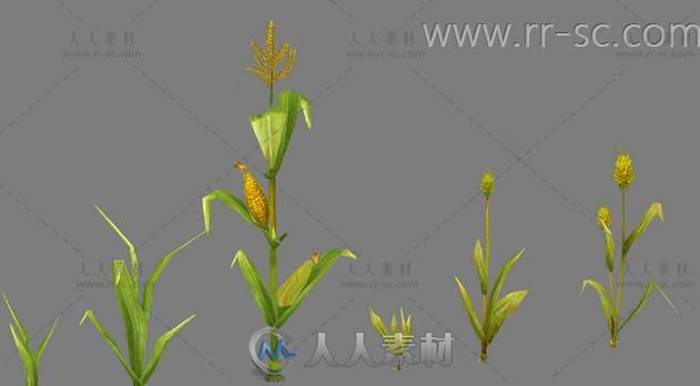 超逼真游戏中的玉米和南瓜3D模型