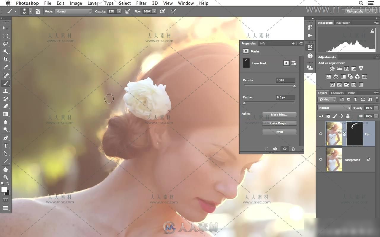 Photoshop 修饰婚纱肖像视频教程