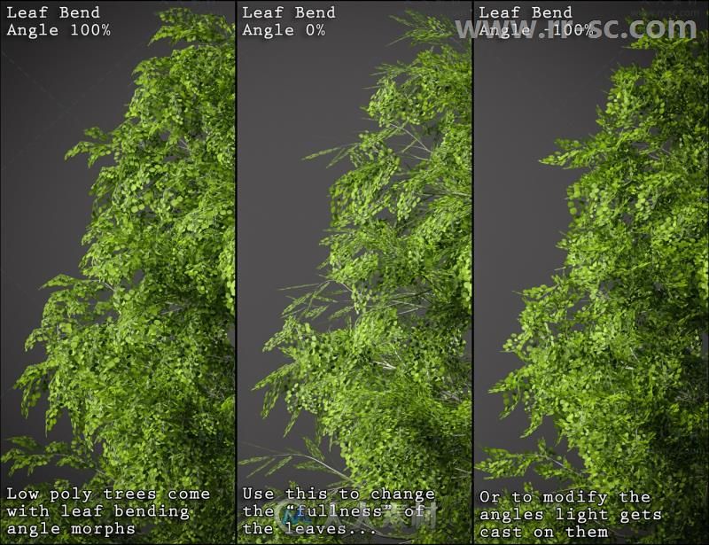 现代茂盛不同种类的树木形状3D模型合辑