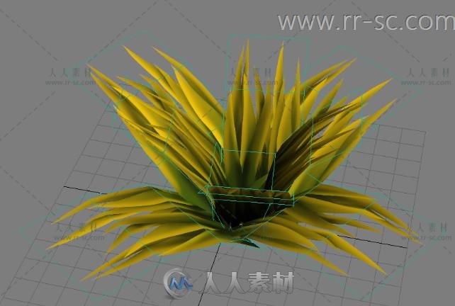 一个小草的3D模型适合笔刷