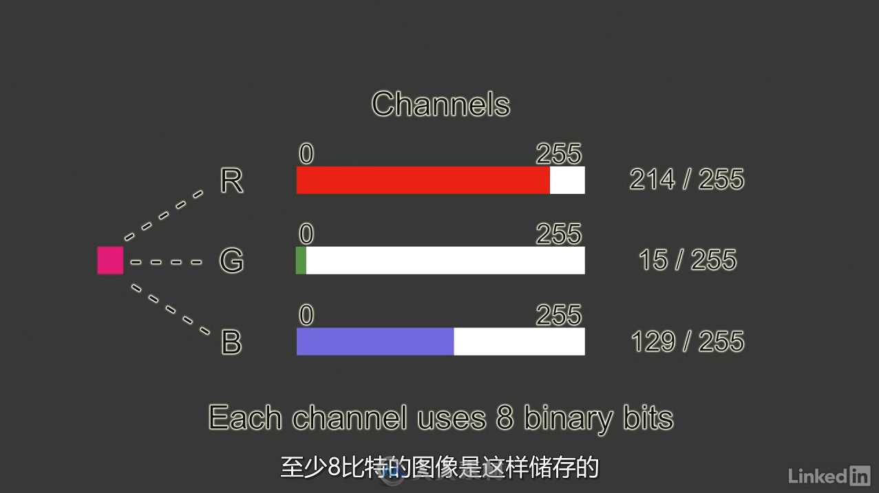 第131期中文字幕翻译教程《数字媒体基础知识训练视频教程》 人人素材字幕组