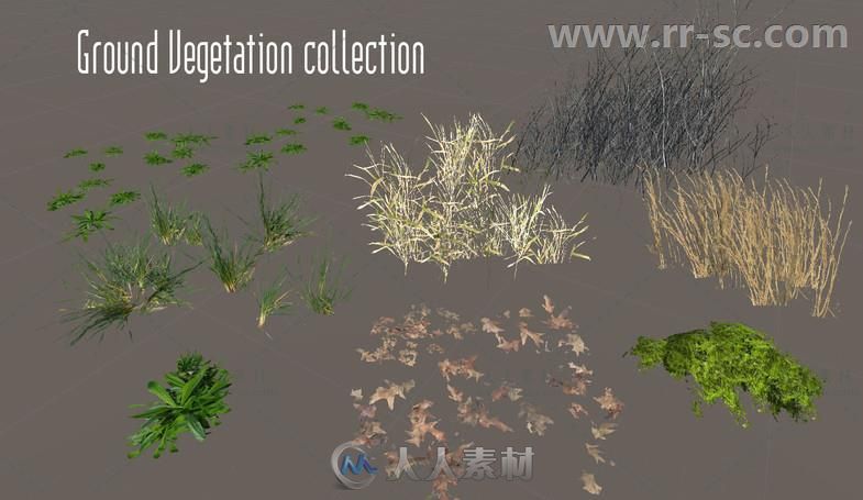 简单的树干树叶优化工具植物3D模型Unity游戏素材资源