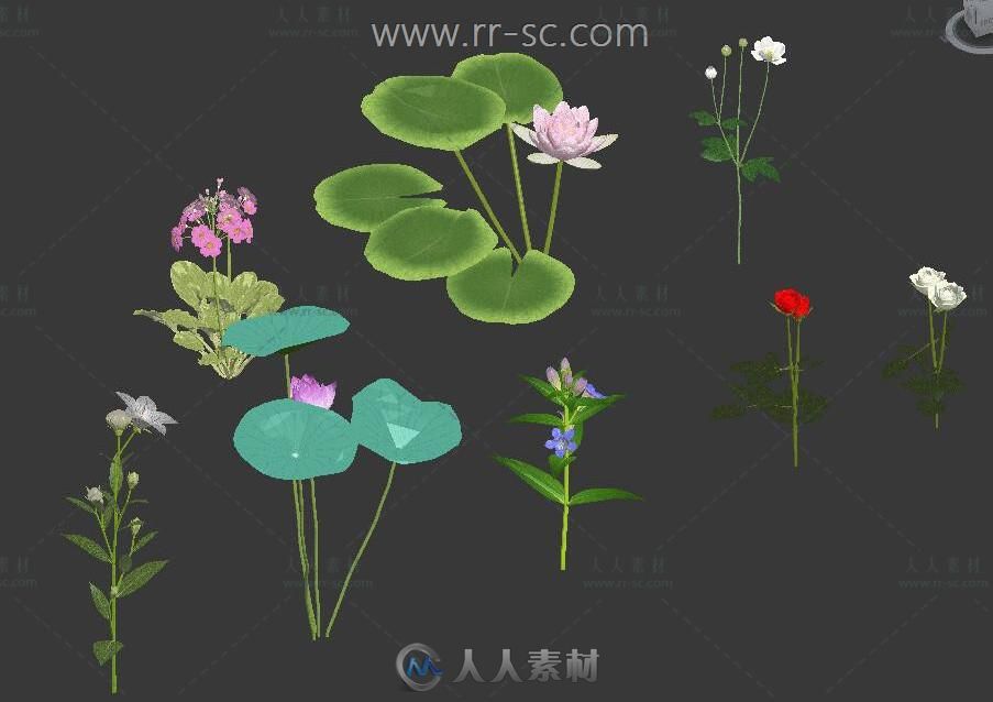 一组简单好看的花草3D模型