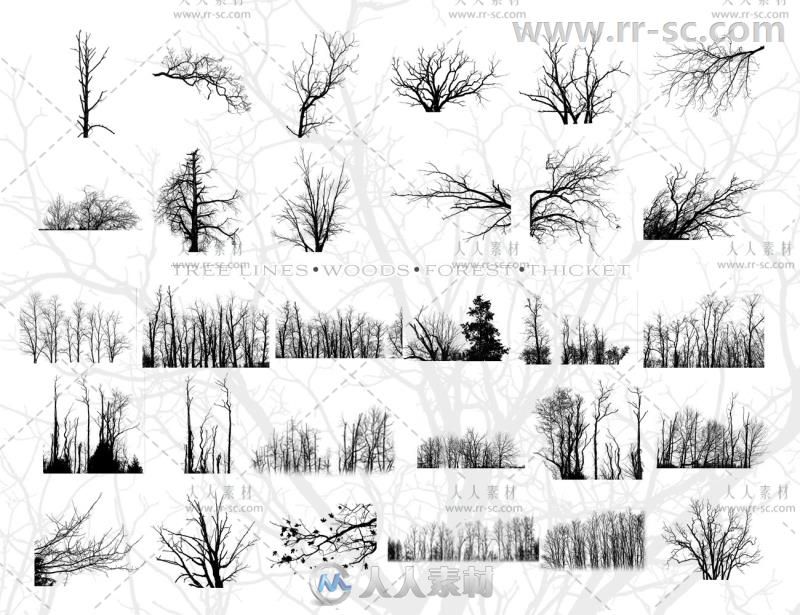 完美专业的树木场景3D模型合辑